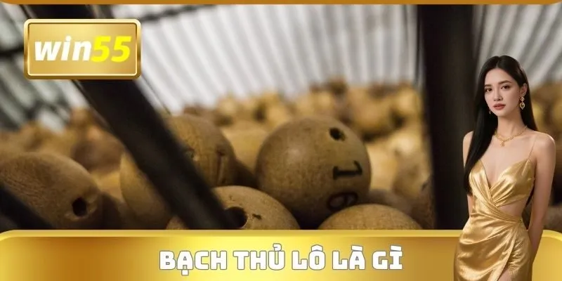 Bạch Thủ Lô Là Gì