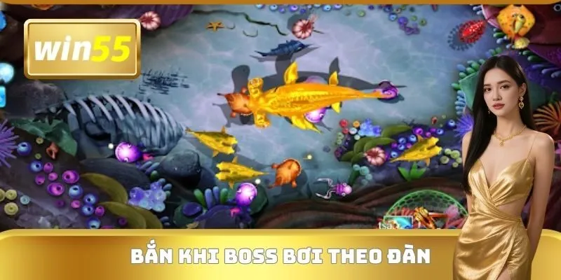 Bắn khi boss bơi theo đàn