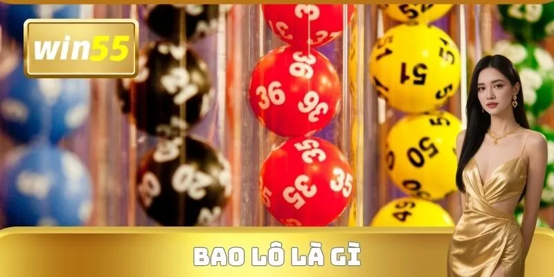 Bao Lô Là Gì