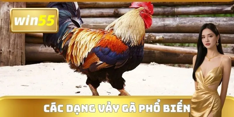 Các dạng vảy gà phổ biến