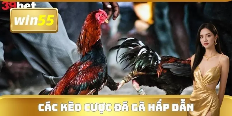 Các kèo cược đá gà hấp dẫn