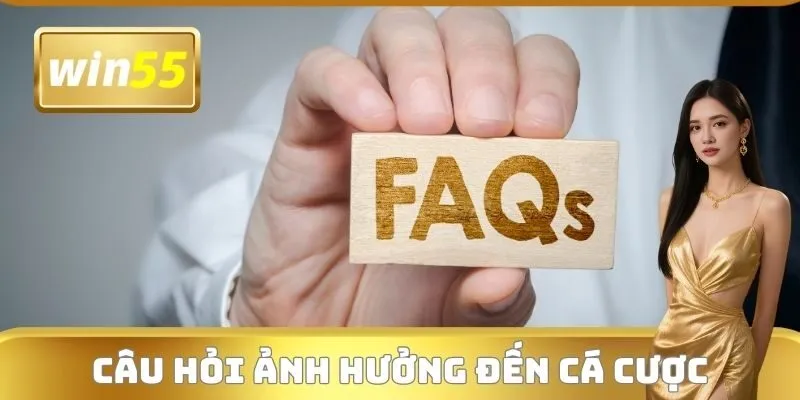 Câu hỏi thường gặp ảnh hưởng đến việc tham gia cá cược