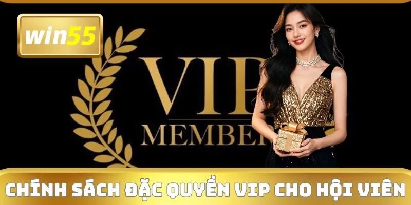 Những đặc quyền mà tài khoản VIP được ưu tiên