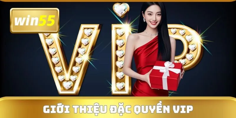 Đôi điều về đặc quyền VIP tại sân chơi cá cược