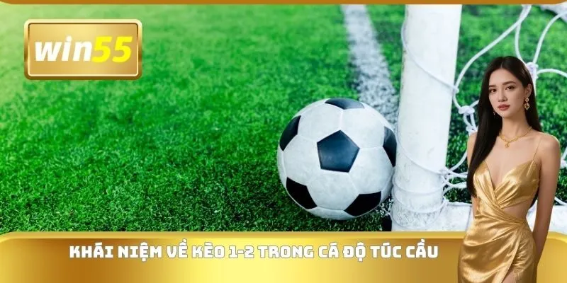 Khái niệm về kèo 1-2 trong cá độ túc cầu