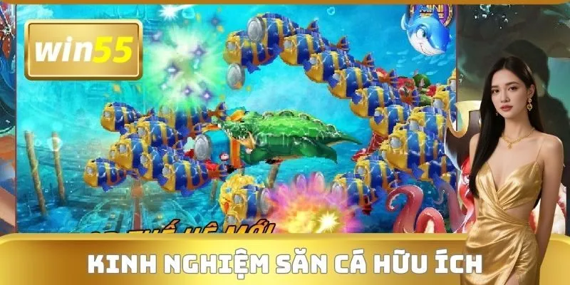 Kinh nghiệm săn cá hữu ích