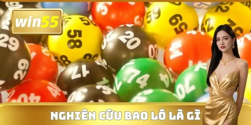 Nghiên cứu Bao lô là gì