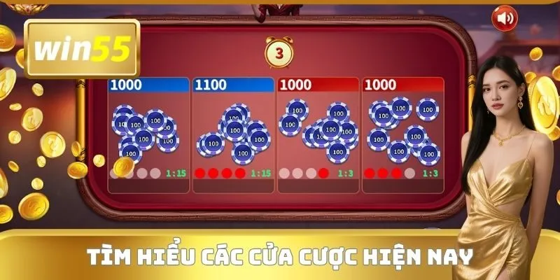 Tìm hiểu các cửa cược hiện nay